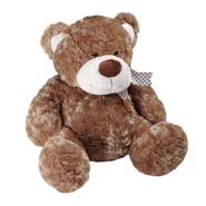 Sitting Brown Bear