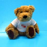 Sitting Bear w/T-shirt