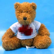 Sitting Bear w/T-shirt