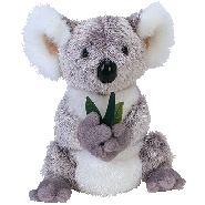 Koala Bear
